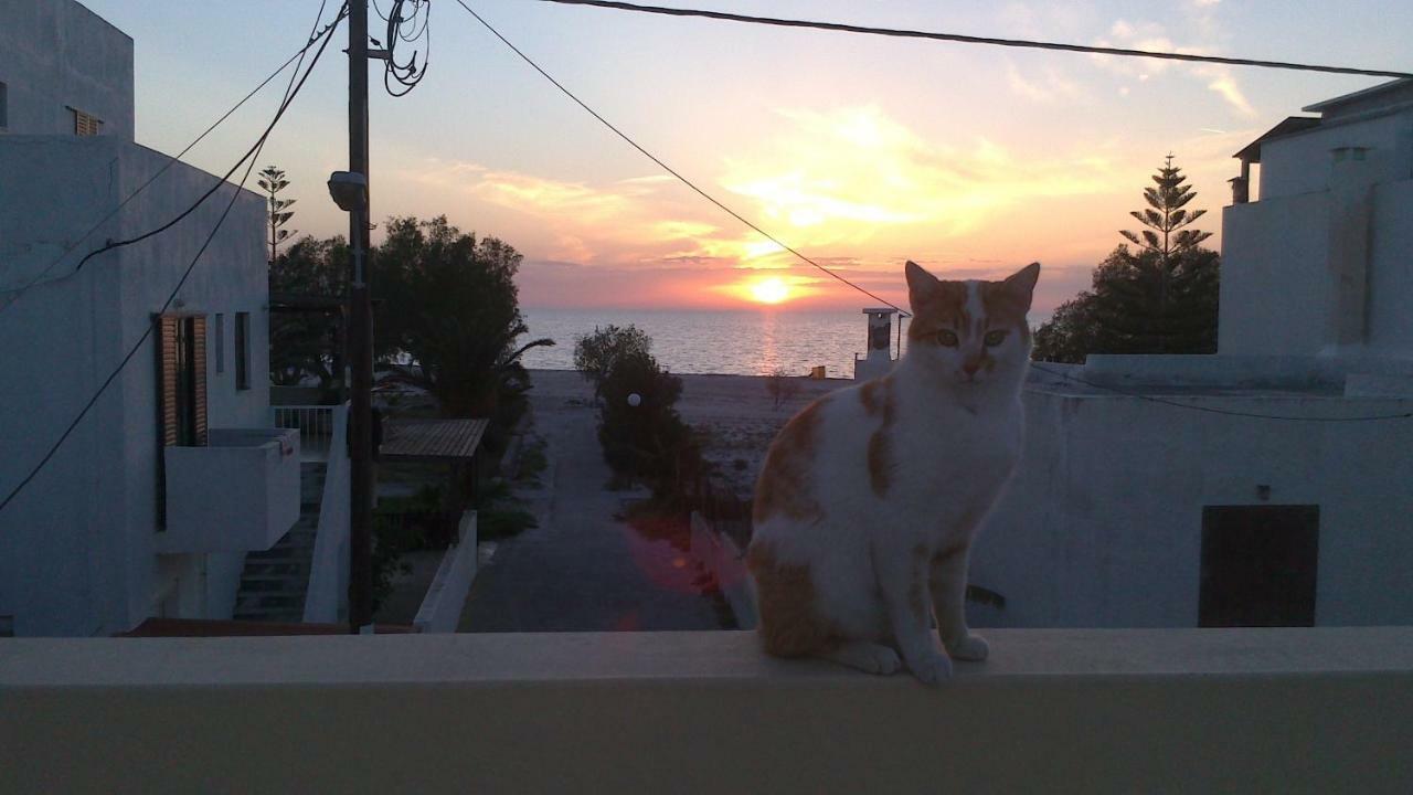 Holiday Dream Thalia Apartment Mastichari  Exterior foto